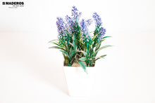 Cargar imagen en el visor de la galería, Matera garden