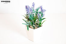 Cargar imagen en el visor de la galería, Matera garden