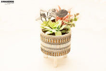 Cargar imagen en el visor de la galería, Planta Artificial Suculenta
