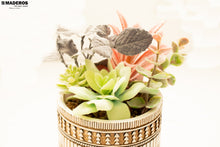 Cargar imagen en el visor de la galería, Planta Artificial Suculenta